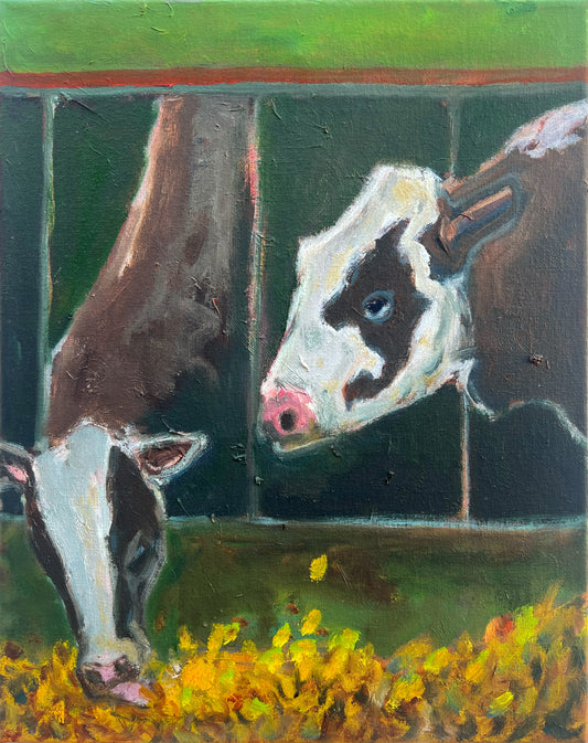 Fodder and Cows